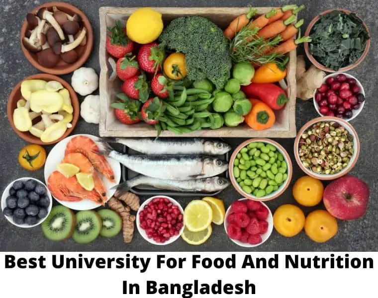 Best University For Food And Nutrition In Bangladesh
