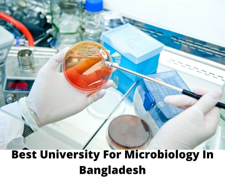 Best University For Microbiology In Bangladesh