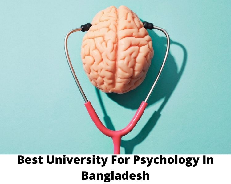 Best University For Psychology In Bangladesh